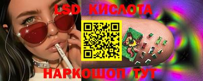 ECSTASY Канаш